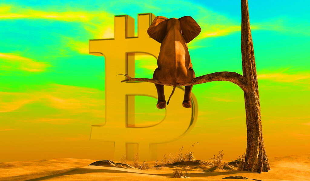 Top Crypto Strategist revela objetivo masivo de fin de año para Bitcoin