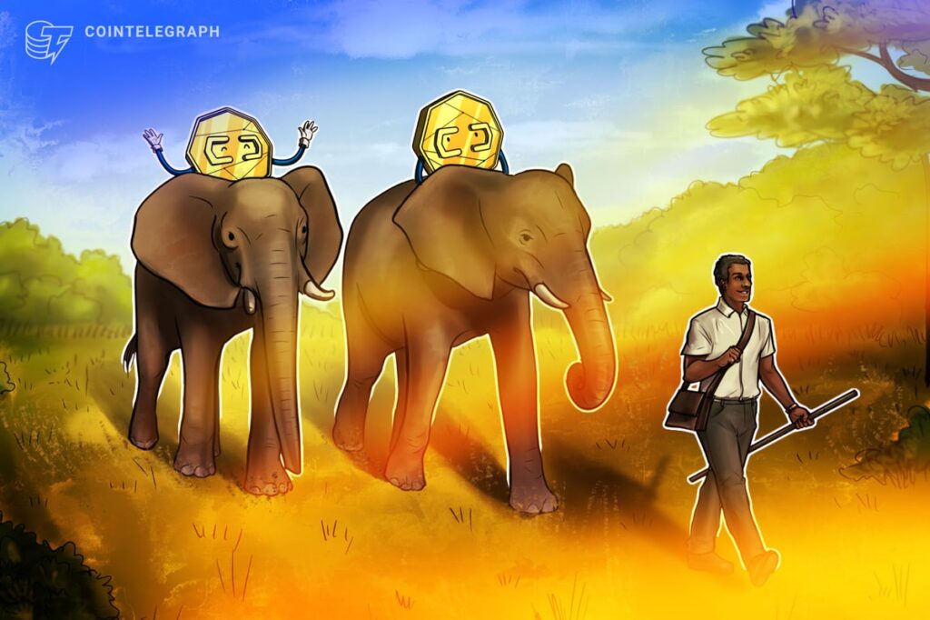 La República Centroafricana contempla un marco legal para la adopción de criptomonedas