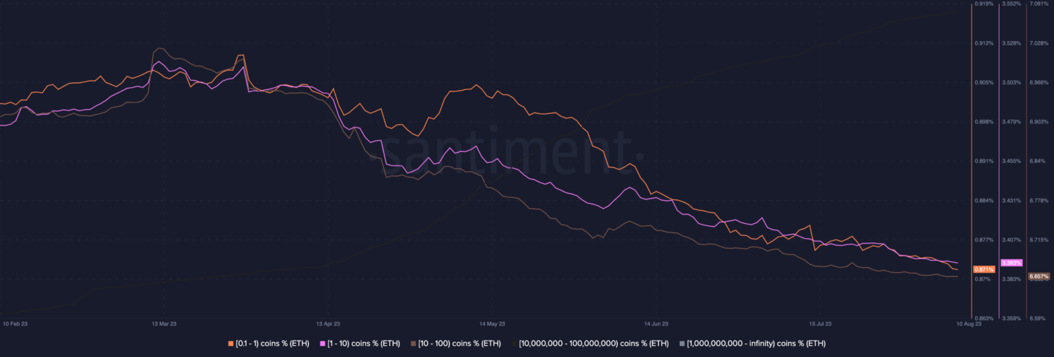 Ethereum: lo que las billeteras de los principales titulares le dicen sobre el futuro de ETH