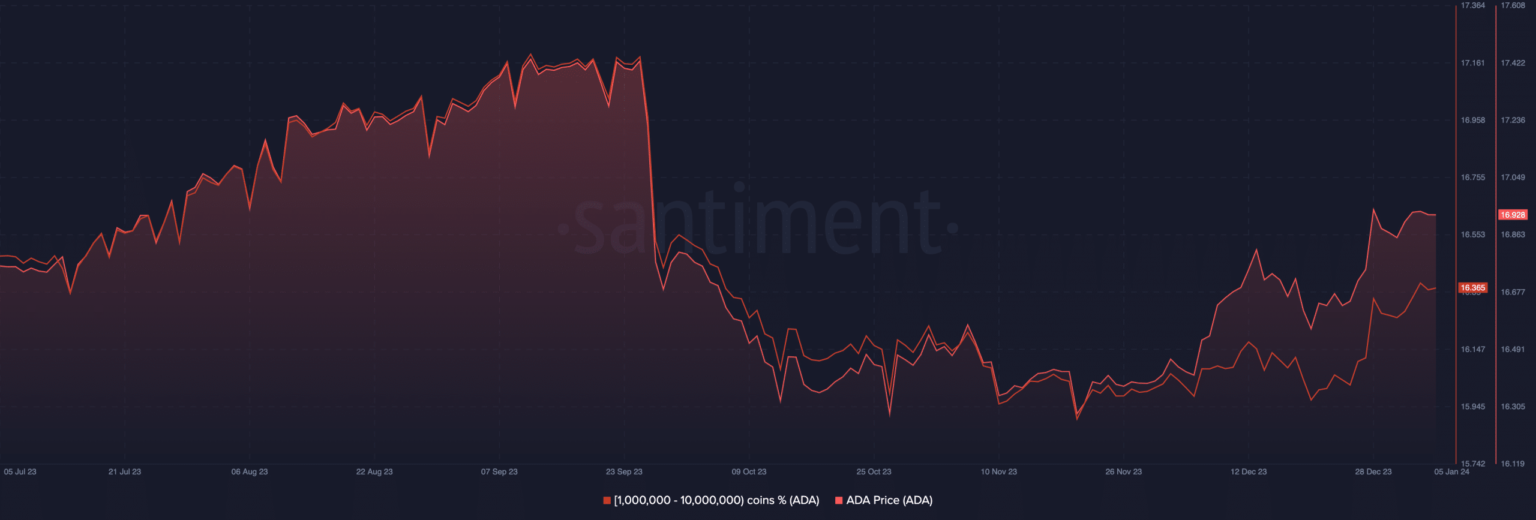 Cardano: ¿Puede ADA aumentar después de que las ballenas obtengan 14 millones de tokens adicionales?