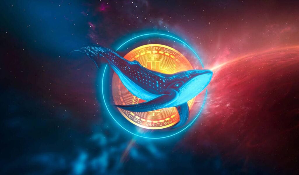 Cardano, Shiba Inu y Jasmy captan el interés de las grandes ballenas y activan la señal de compra