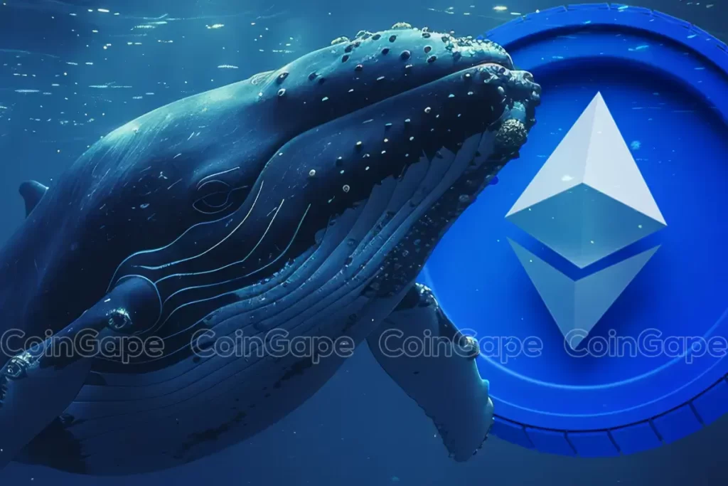 Las ballenas Ethereum se descargan con pérdidas importantes, ¿el precio de ETH se avecina?