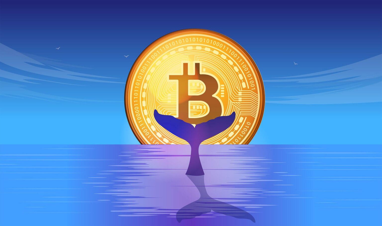 1 millón de bitcoin en las nuevas manos de ballenas: ¿un mega rally BTC en el horizonte?