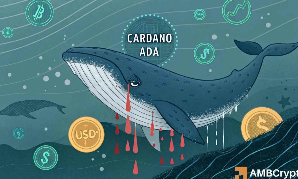 La ballena Cardano pierde el 90% de ADA después de la conversión a una moneda estable ilíquida