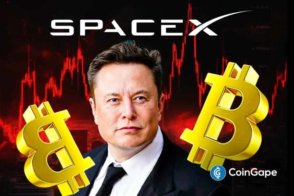 SpaceX de Elon Musk mueve Bitcoin, ¿se produce una liquidación en medio de que las acciones de SPCX cayeron un 25%?